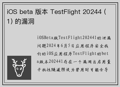 iOS beta 版本 TestFlight 20244 (1) 的漏洞 