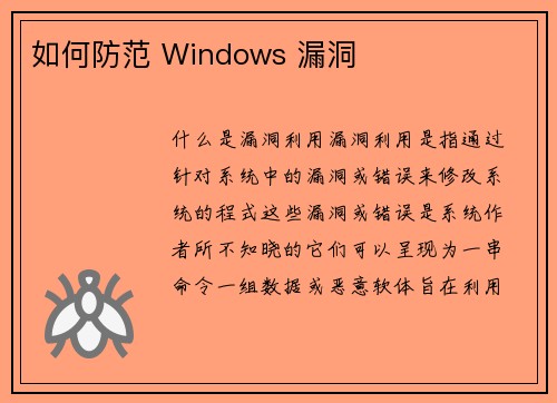 如何防范 Windows 漏洞 